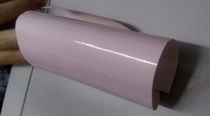 CAM00730a